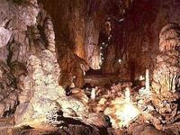 Foto Grotta Gigante